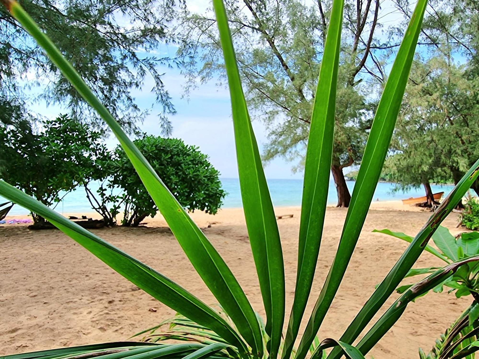 Sunboo Beach Bungalows كوه رونغ ساملوم المظهر الخارجي الصورة